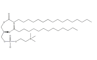 CAS:20664-02-2 CAS:20664-02-2