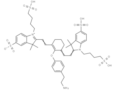 Sulfo-Cy7 Tyramide Sulfo-Cy7 Tyramide