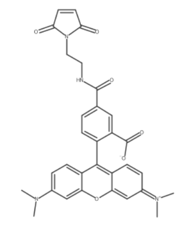Tetramethylrhodamine-5 C2 maleimide 