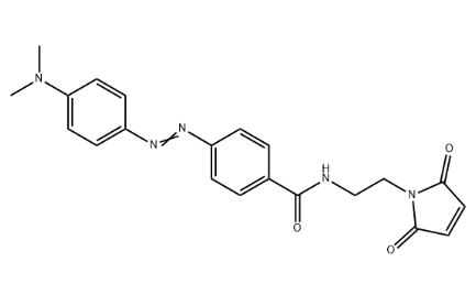 DABCYLC2马来酰亚胺	 