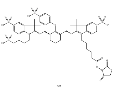 IRDye 800CW NHS Ester IRDye 800CW NHS Ester