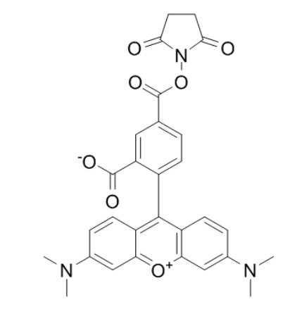 TAMRA Succinimidyl Ester TAMRA Succinimidyl Ester