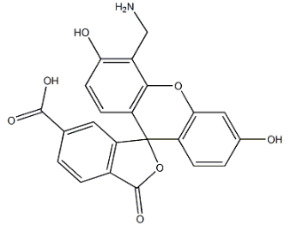 4'-AMinoMethyl-5-FAM