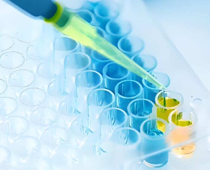 负载靛玉红(IND)的固体脂质纳米粒 负载靛玉红(IND)的固体脂质纳米粒