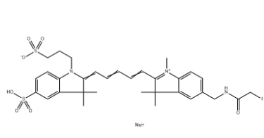胰淀素Amylin 胰淀素Amylin
