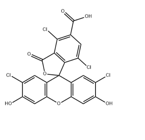 5-羧基四氯荧光素 5-羧基四氯荧光素