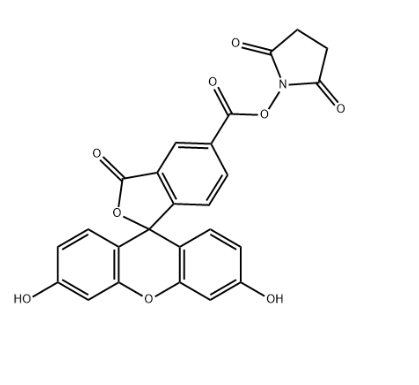 92557-80-7:5-fam NHS 92557-80-7:5-fam NHS