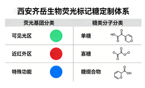 荧光标记糖 荧光标记糖
