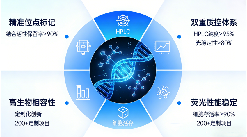 荧光标记糖定制核心技术优势 荧光标记糖定制核心技术优势