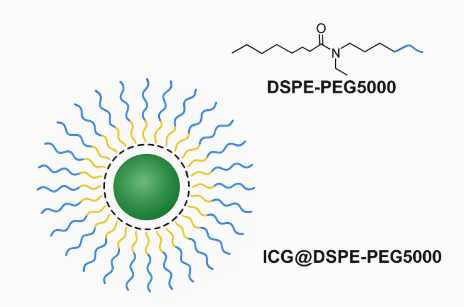 1765435185516752.png image.png