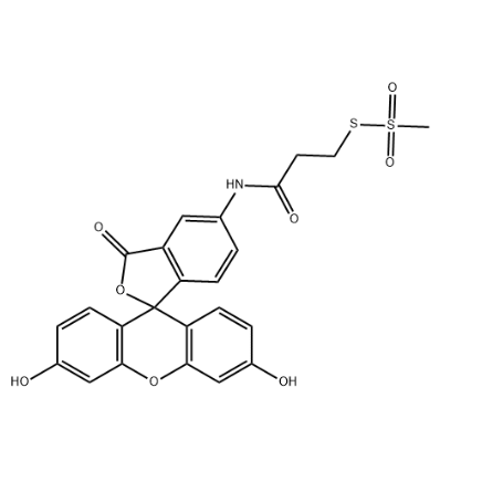 6-羧基四氯荧光素-络胺 6-羧基四氯荧光素-络胺