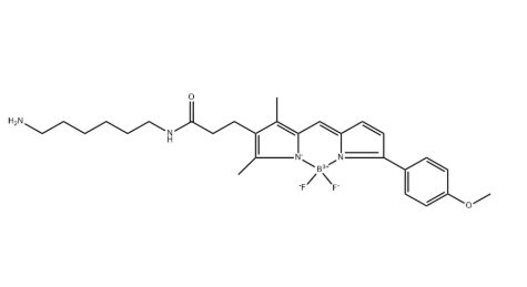 BDP TMR amine BDP TMR amine