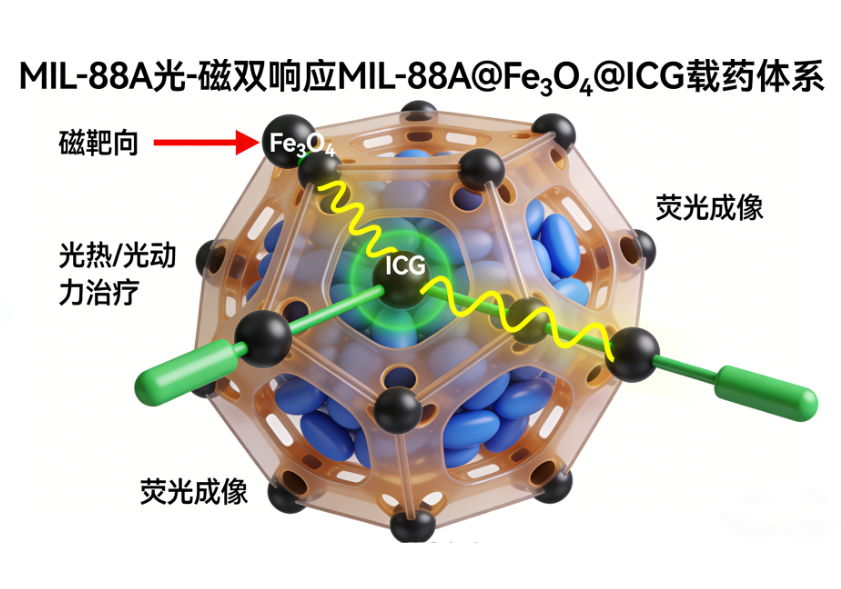 MIL-88A@Fe₃O₄@ICG MIL-88A@Fe₃O₄@ICG