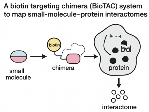 1765519677741498.png image.png