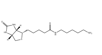 Biotin-C5-amine Biotin-C5-amine