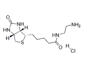 Biotin-EA (HCl) Biotin-EA (HCl)