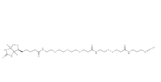 2866429-93-6 2866429-93-6