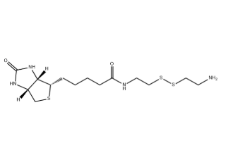 Biotinyl Cystamine Biotinyl Cystamine