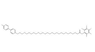 2353409-49-9,Methyltetrazine-PEG8-PFP ester 2353409-49-9,Methyltetrazine-PEG8-PFP ester