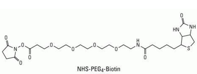 生物素-PEG4-NHS