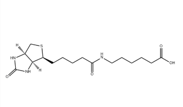 Biotin-LC