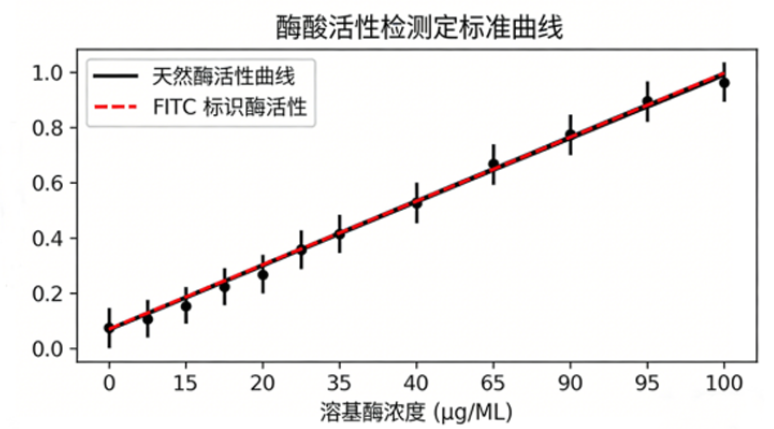 标记荧光素酶 标记荧光素酶