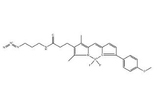 BDP TMR azide