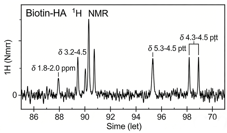 生物素修饰的透明质酸