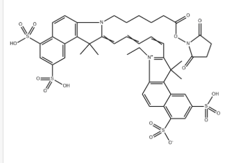 Sulfo Cyanine5.5 E SE