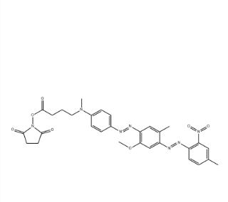 BHQ1 NHS ester BHQ1 NHS ester