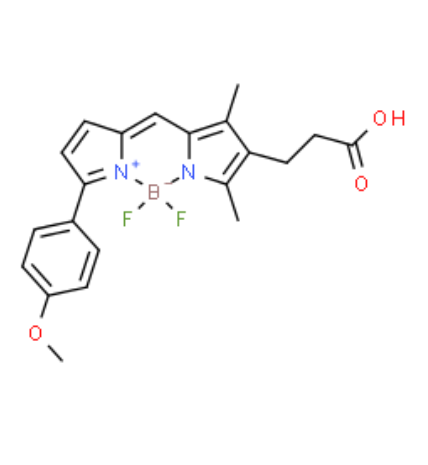 BODIPY TMR acid