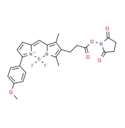 BODIPY TMR NHS ester