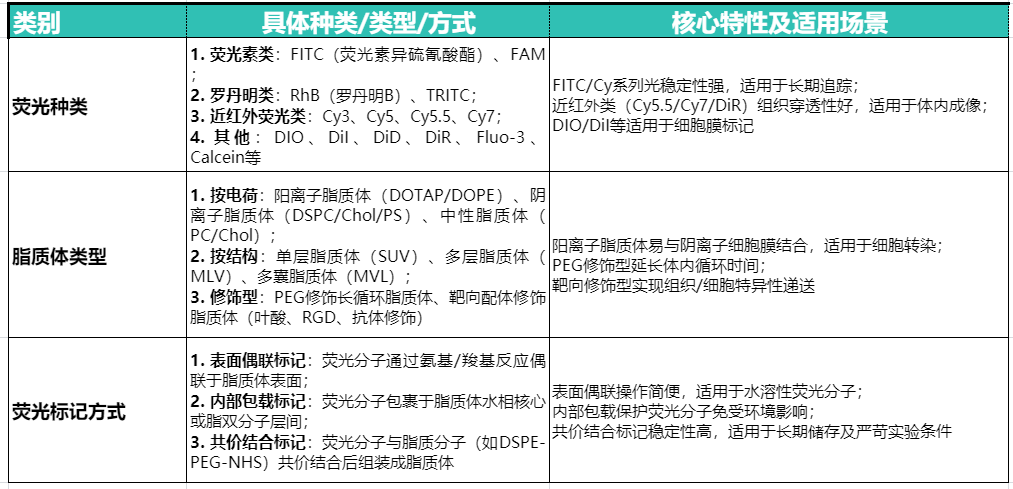 荧光标记脂质体