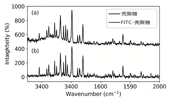 FITC-壳聚糖