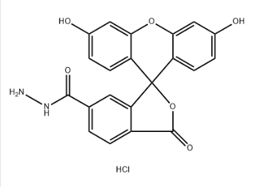 2183440-65-3，FAM hydrazide, 6-isomer，（FAM）