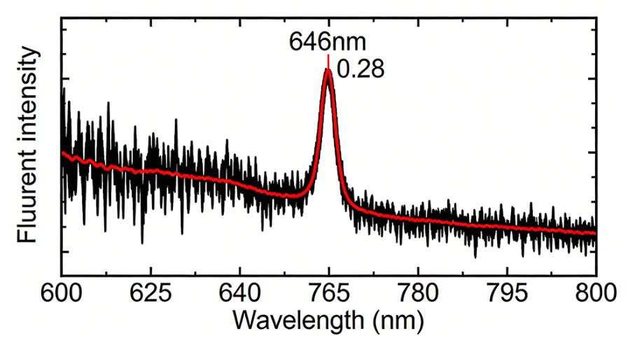 羧基化菊粉 羧基化菊粉