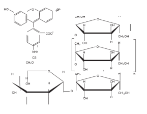 FITC-菊粉 FITC-菊粉