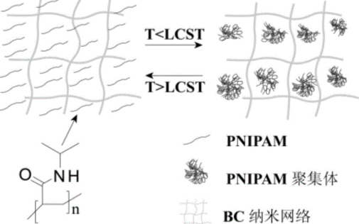 聚酰胺超支化聚合物 聚酰胺超支化聚合物