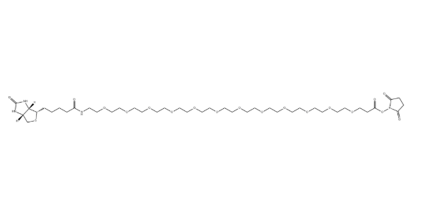 Biotin-PEG₁₂-NHS Ester