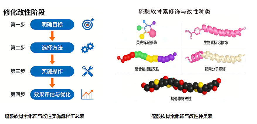 硫酸软骨素修饰