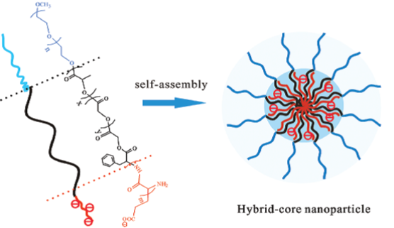 PLGA-SS-PEG纳米粒