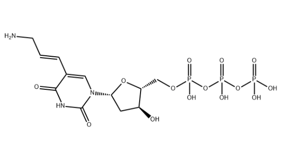 Aminoallyl-dUTP，116840-18-7