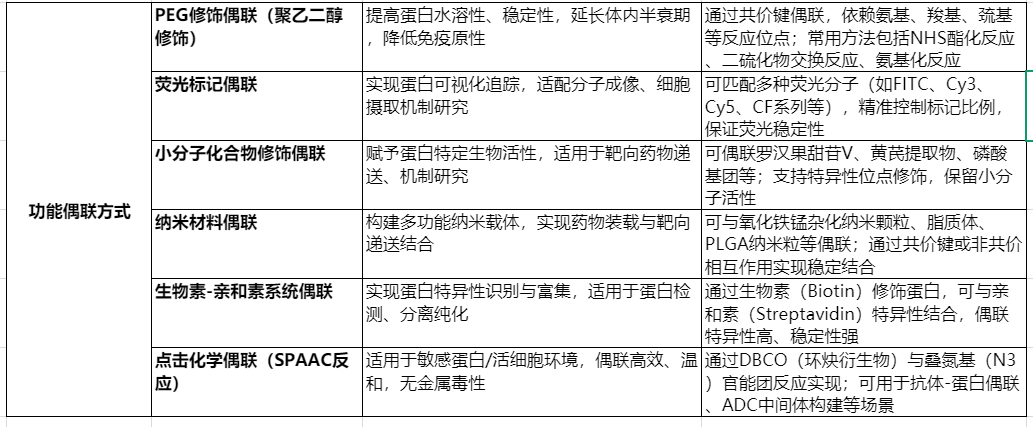 蛋白的功能偶联 蛋白的功能偶联