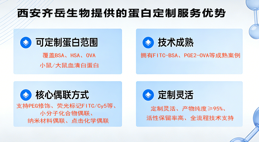 蛋白定制服务 蛋白定制服务