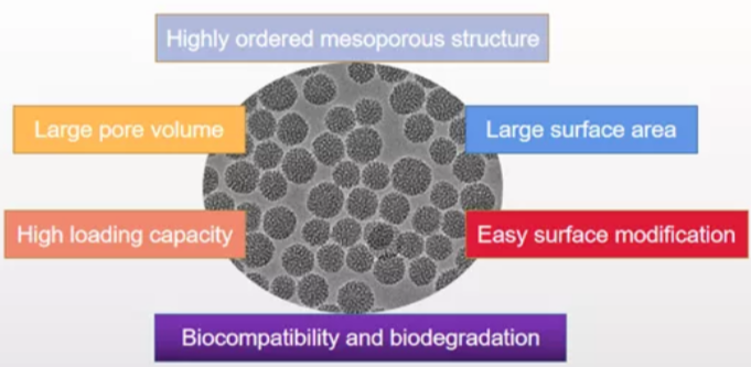 CY5.5-PEG2000标记介孔二氧化硅