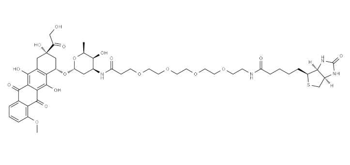 Doxorubicin-PEG4-Biotin，3026061-31-1