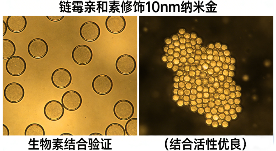 链霉亲和素修饰纳米金