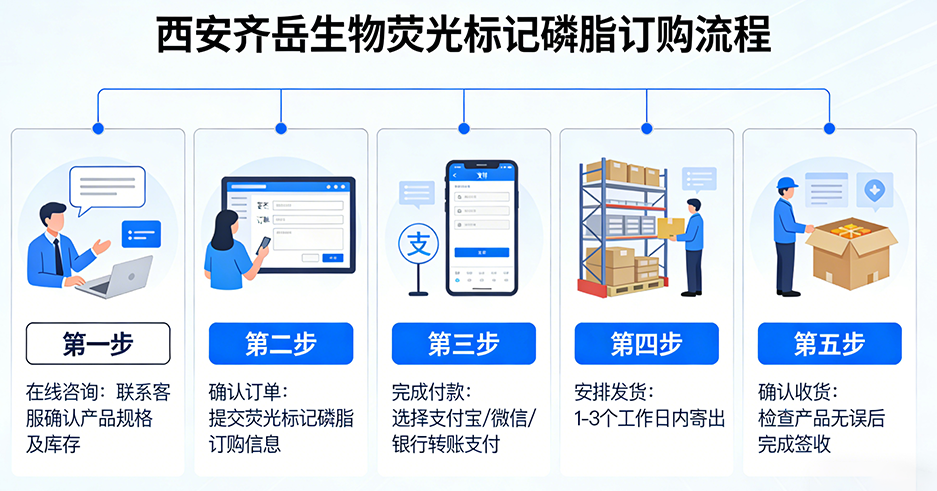 荧光标记磷脂订购流程图