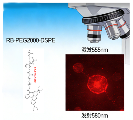 RB-PEG2000-DSPE