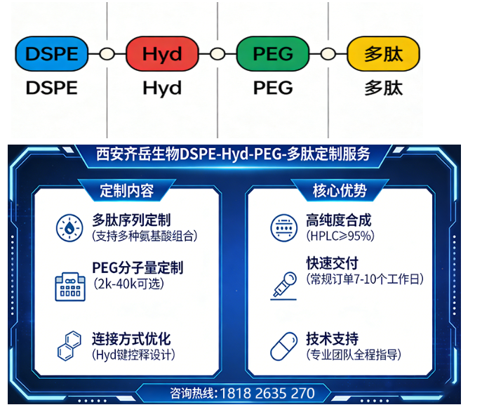 DSPE-Hyd-PEG-多肽